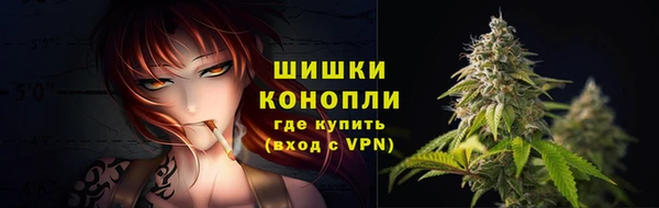 2c-b Снежногорск