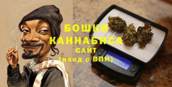 гидра Снежинск