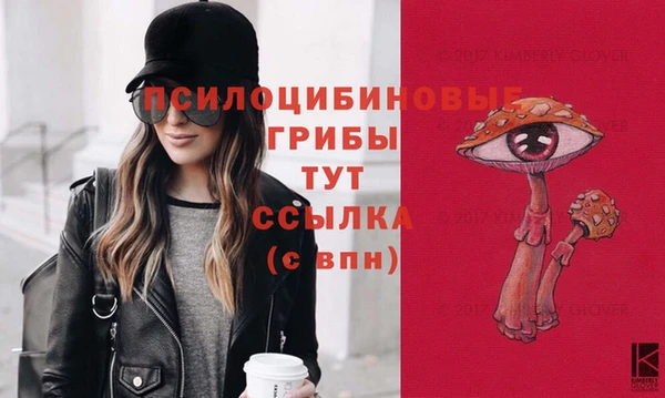 гидра Снежинск